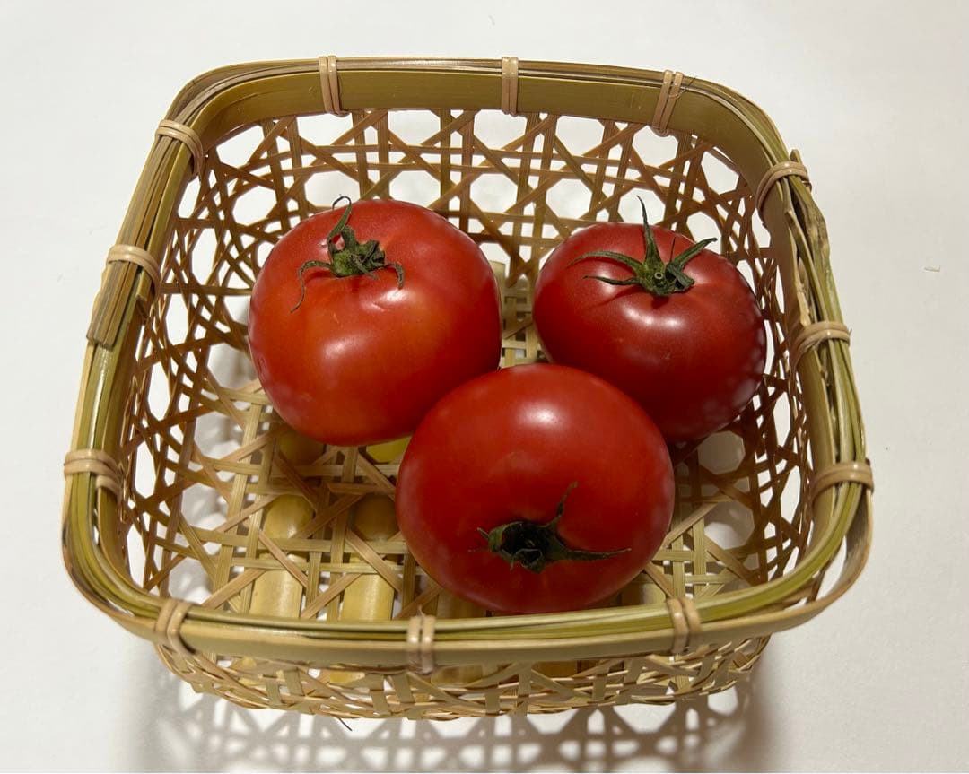 ＊2個セット＊手編み竹かごバスケット（新品未使用）直径約17センチ高さ約9センチ