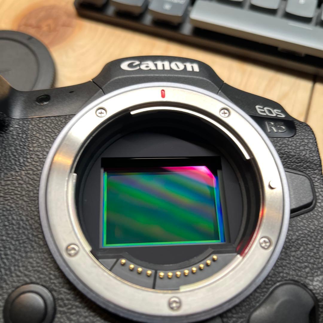 CANON R5 ボディ　ショット数35000未満