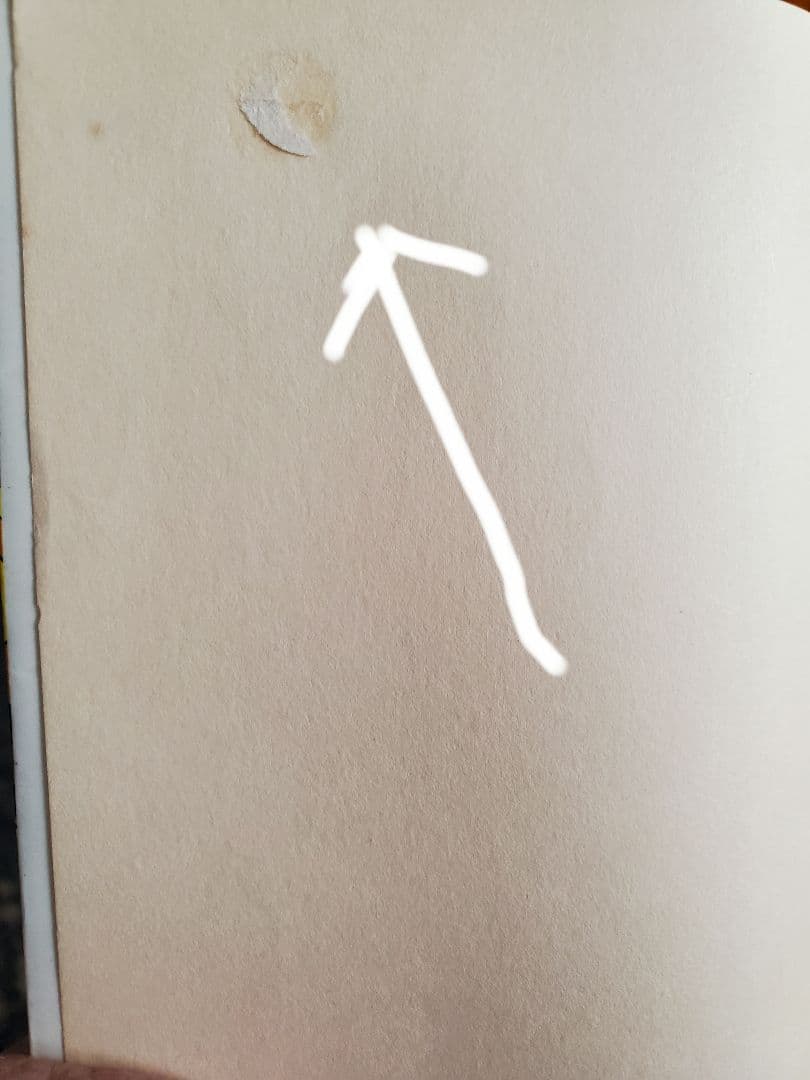 直野祥子集☆ブロンズ社