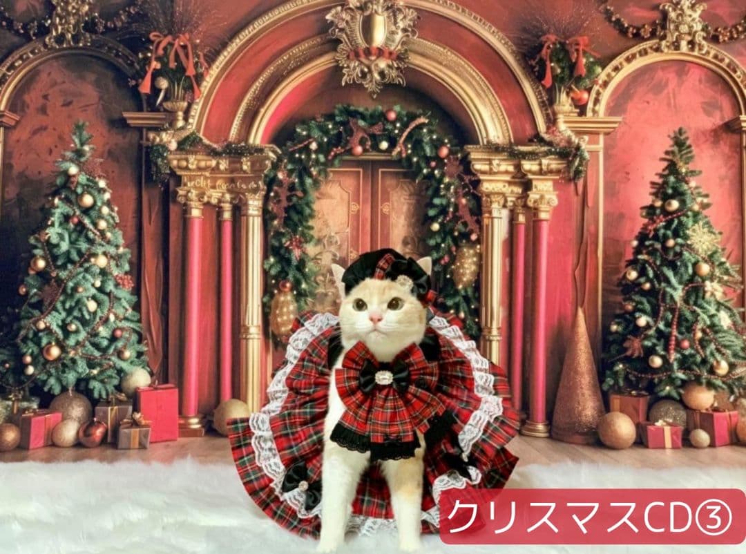 業務用フェルトトリミングチョーカー+背景布　ハロウィン　クリスマス　撮影用ブース