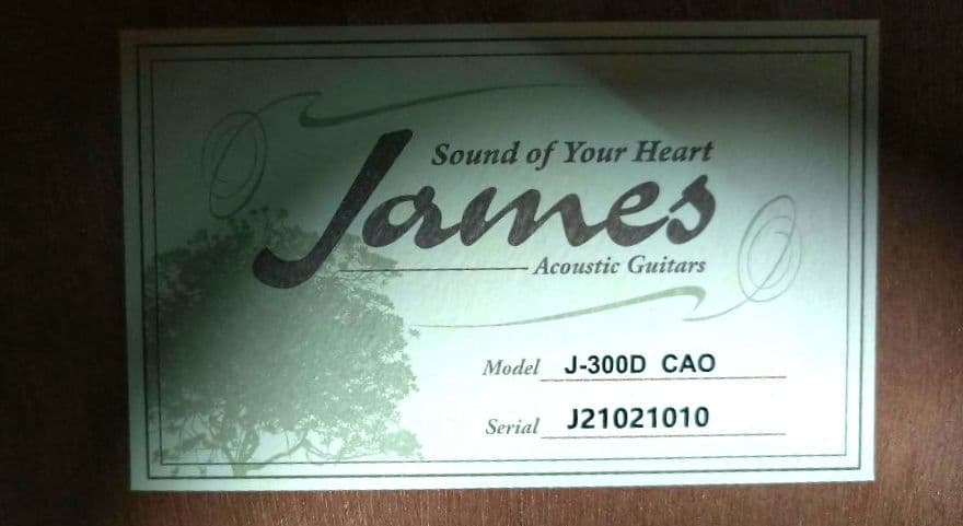 熊ねこ 美品 James アコースティックギター J-300D CAO