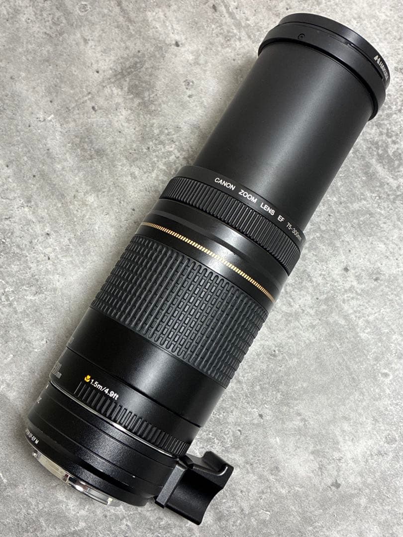 ⭐️美品⭐️Canon EF 75-300 USM & EF-EOS M アダプター