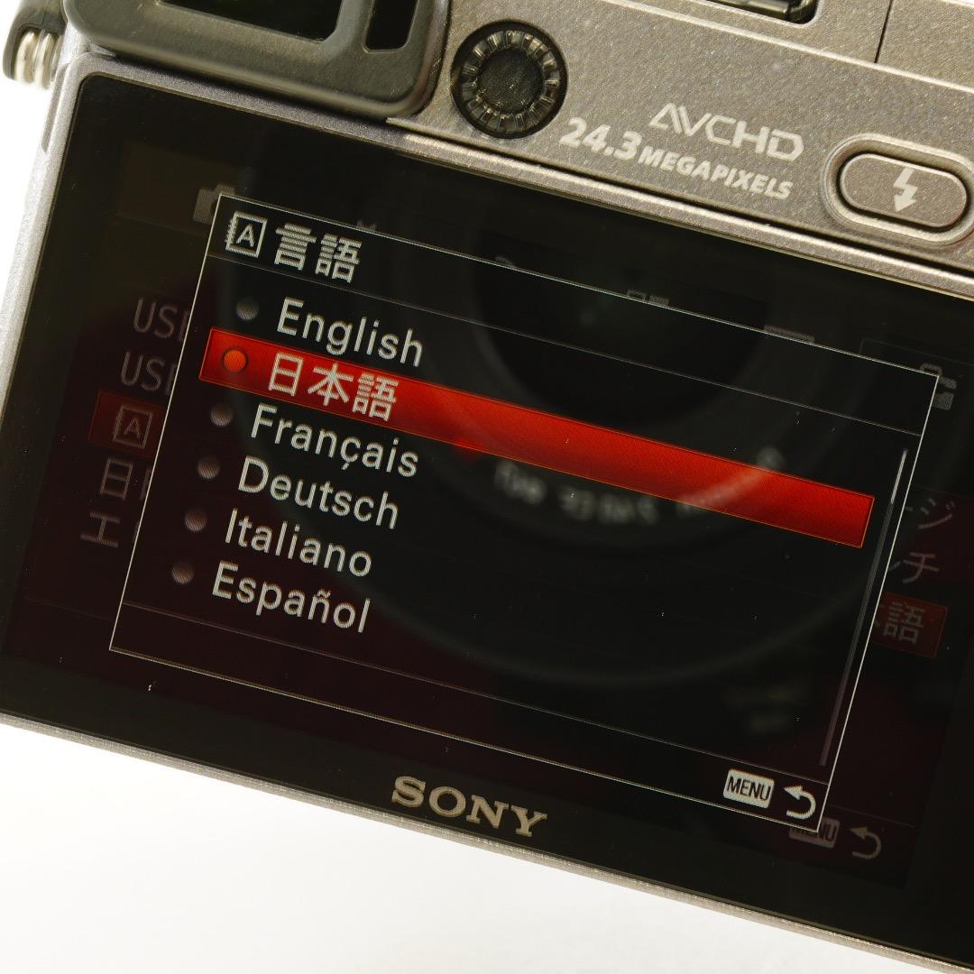 【希少色】SONY ミラーレス一眼 α6000 グレー SELP1650