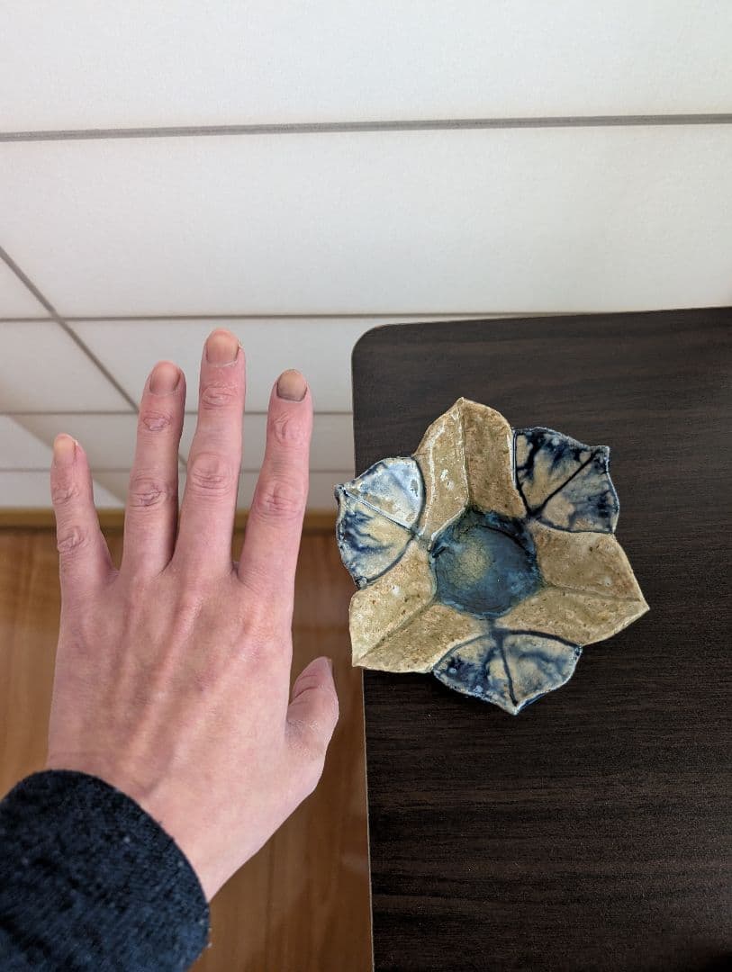 ［完全未使用]【福島一紘】百合染付向付 10枚セット 最終値下げ