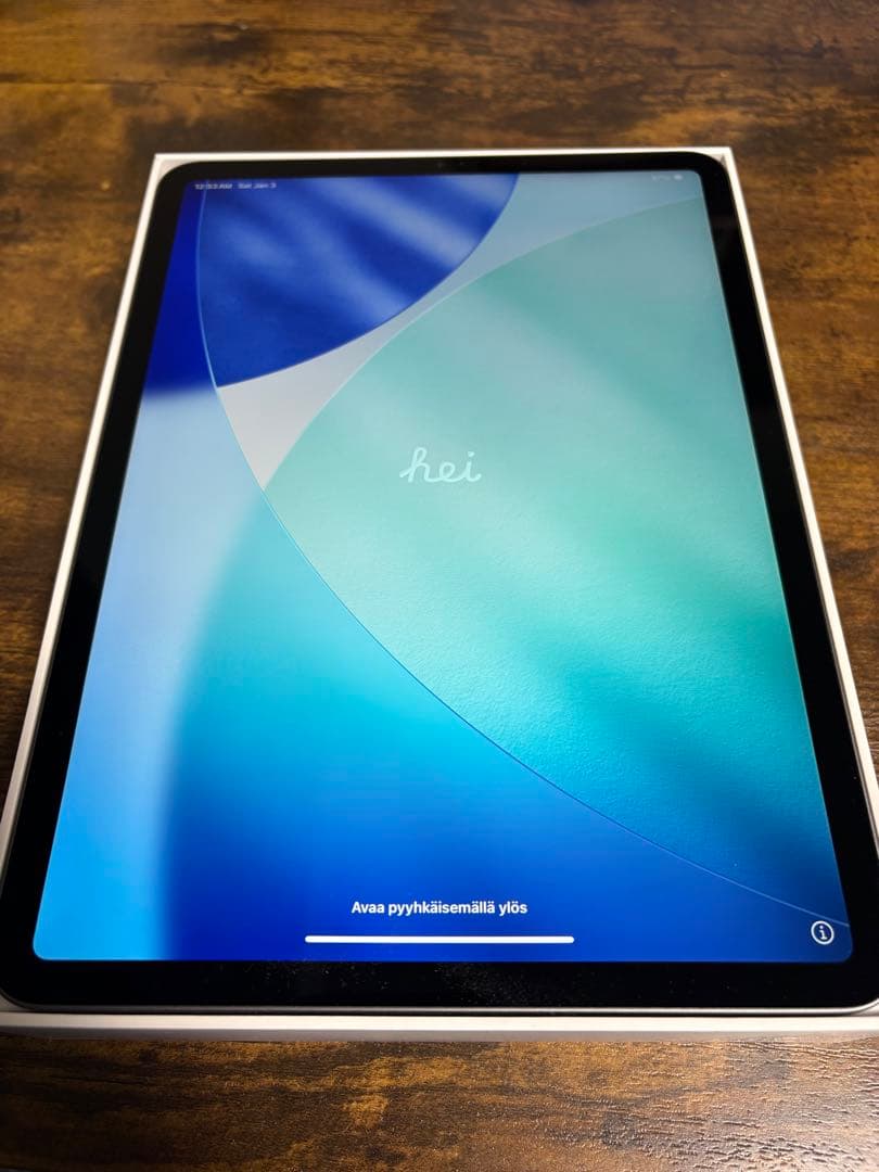 iPad Pro11 第2世代 512GB wifi ApplePencil付き