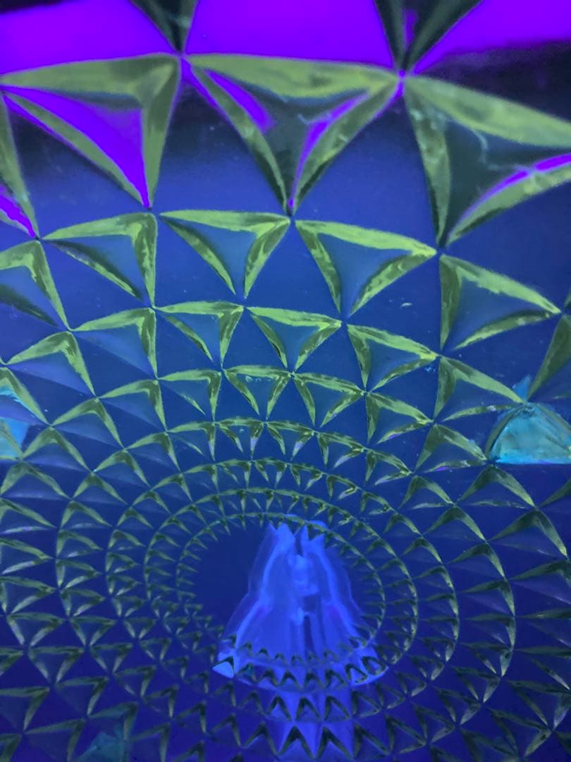 ルネ・ラリック ロザス プレート 大皿 ガラス皿 花柄 バラ窓 1930年代