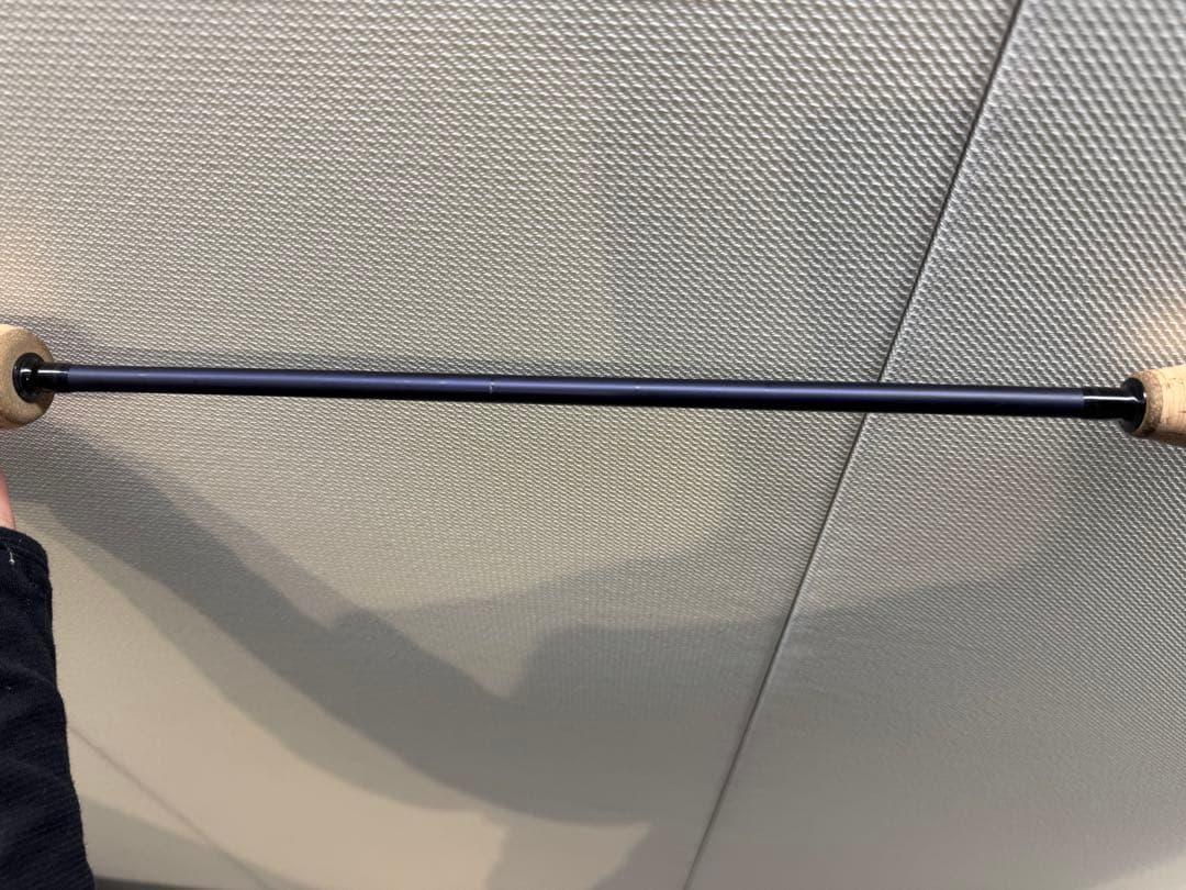 SALTIGA SG SJ 61B-3・W ベイトロッド