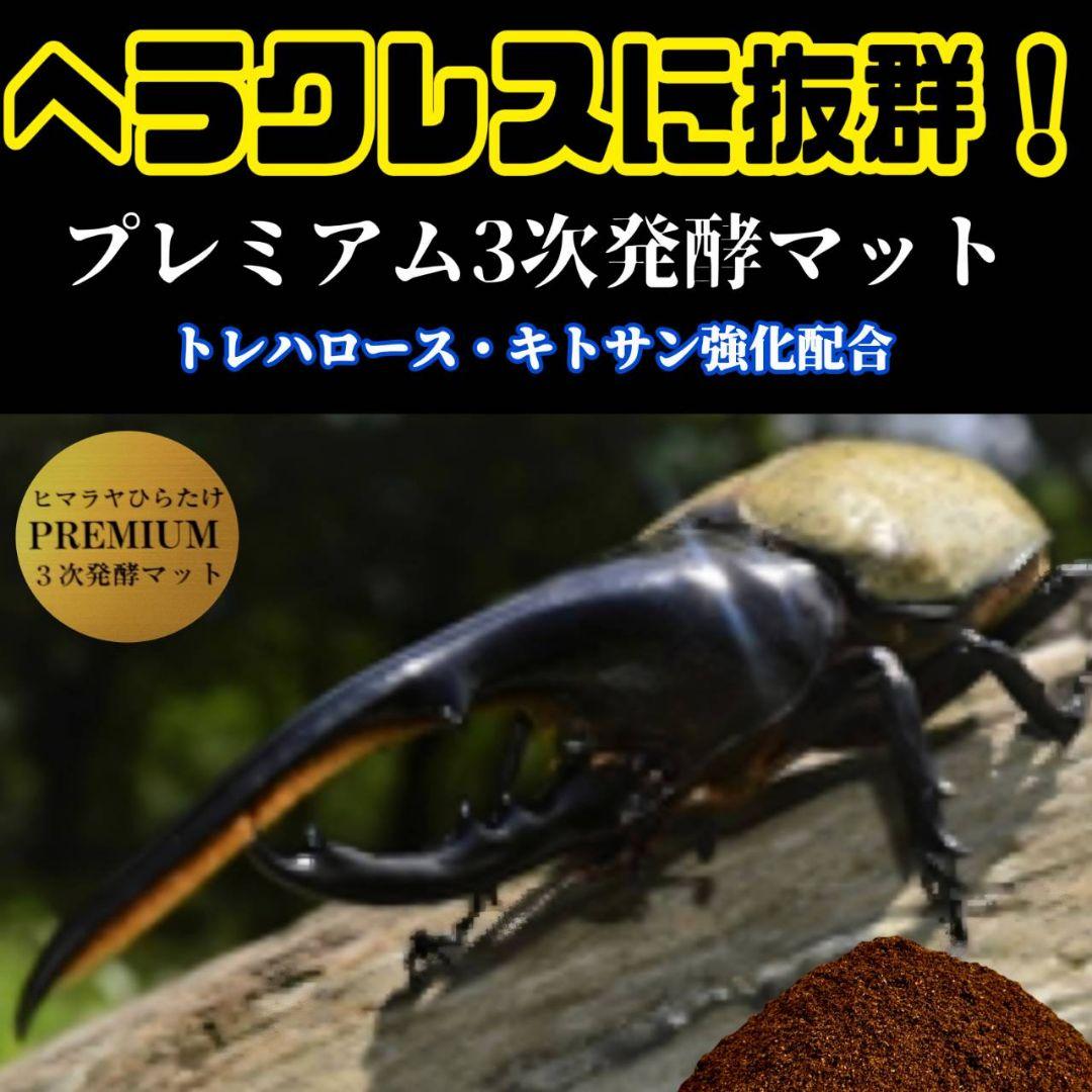 カブトムシ幼虫が巨大化！プレミアム3次発酵マット【70リットル】産卵にも抜群！