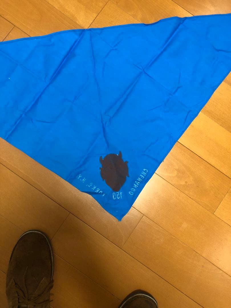 ビンテージ50s デビル　悪魔　ミッドセンチュリー ボーイスカウト　レトロ