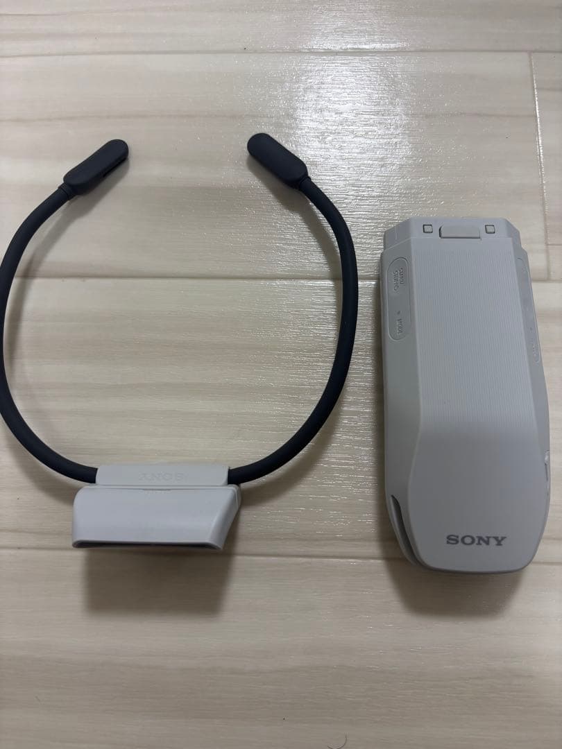 その他 SONY REON POCKET PRO RNPK-P1