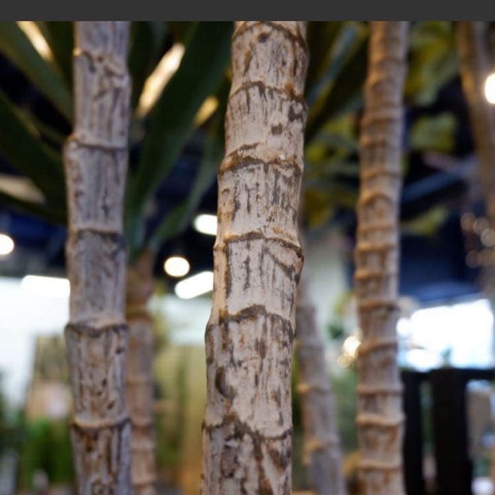 光触媒　人工観葉植物　ウォールグリーン　フェイクグリーン　ユッカツリーgj