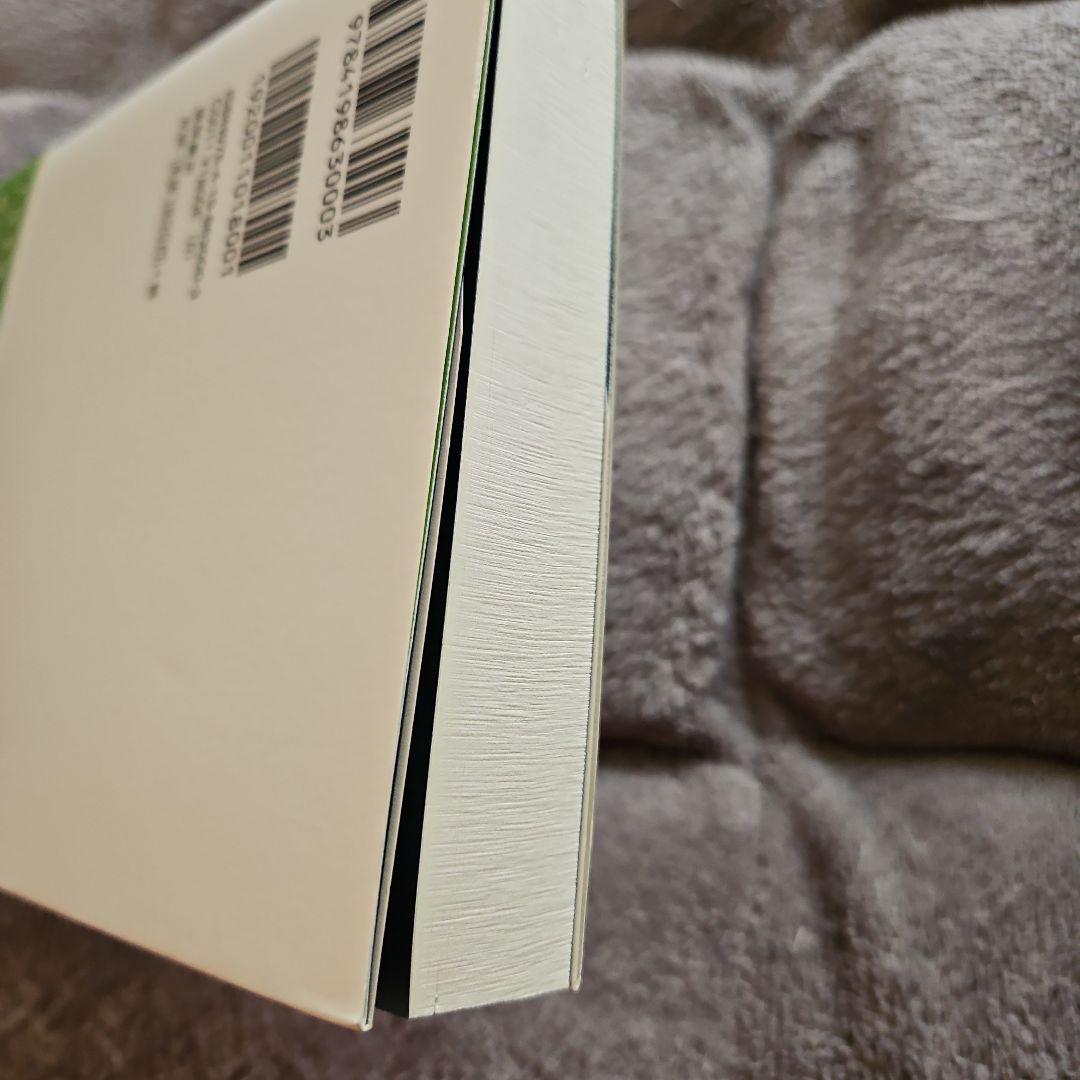 リアリティトランサーフィン 鏡の「超」法則 ヴァジム・ゼランド