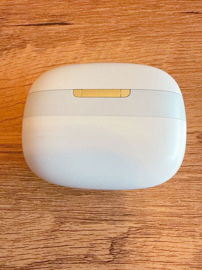 Bowers & Wilkins Pi8 ワイヤレスイヤフォン