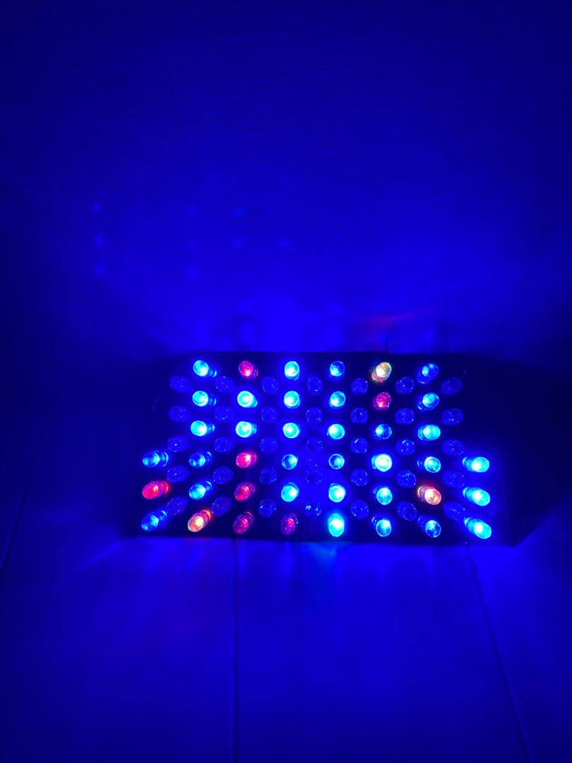 AF34 AF35 ライブディオ ZX RGB LEテール