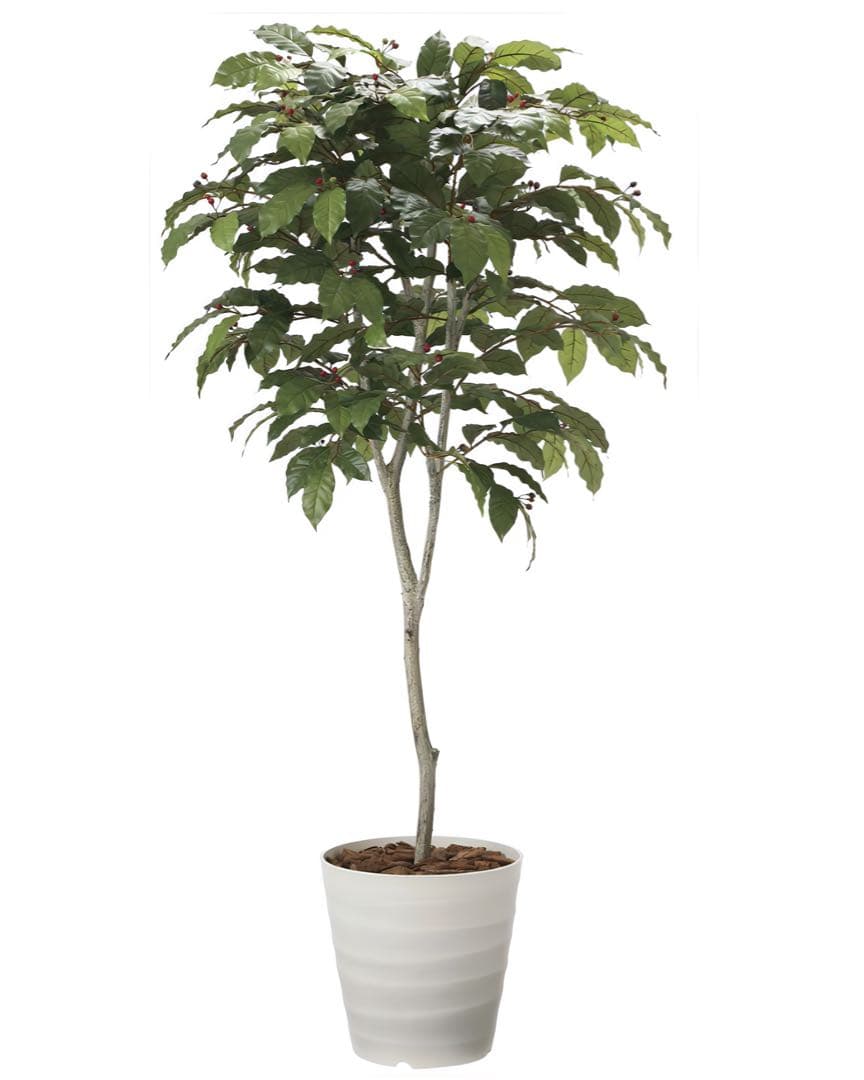 光触媒　人工観葉植物　ウォールグリーン　フェイクグリーン　コーヒーツリー180