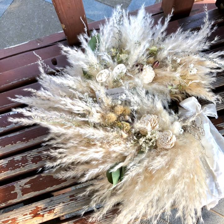 パンパスリース