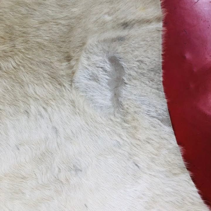 無地ホワイト牛革ラグ 縦270cm横223cm Cowhide Rug