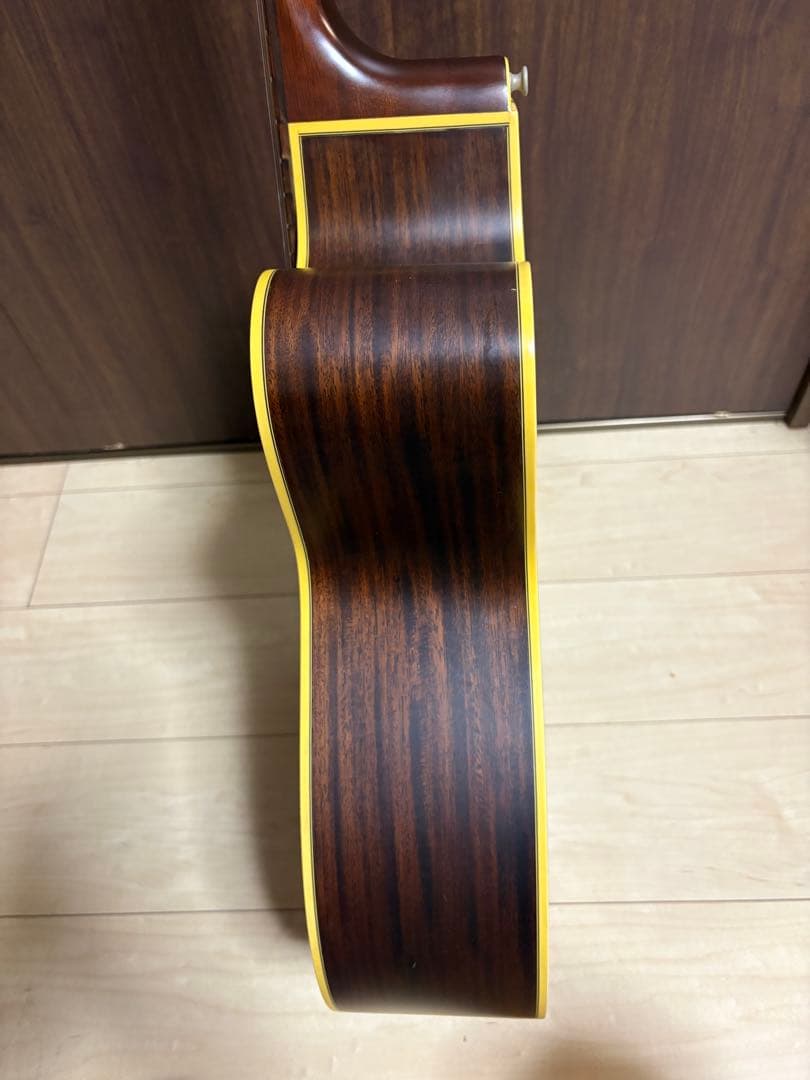 タカミネ　アコースティックギター　NPT-012BS