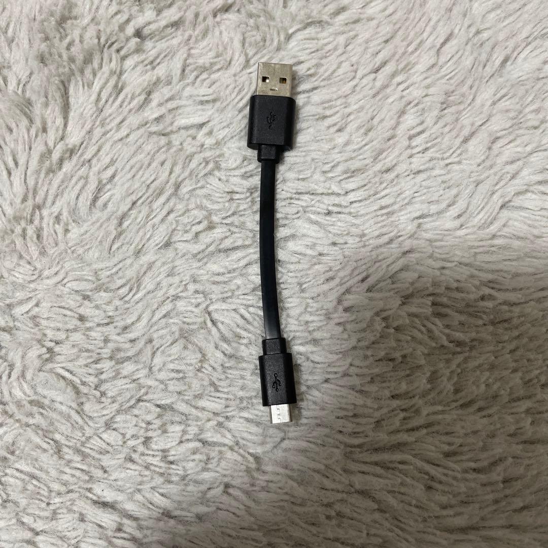 コンパクトスピーカー　BASSEGG 充電器付き