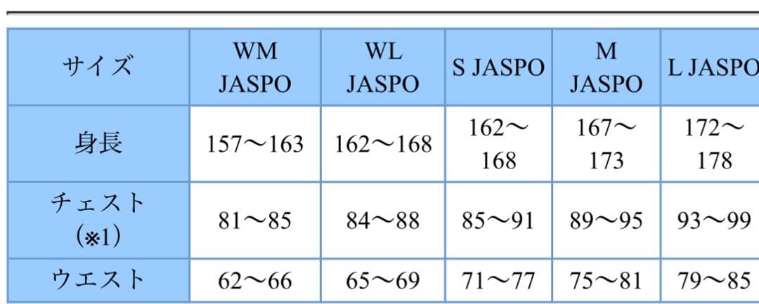 ダイワ ゴアテックス プロダクト レインスーツ DR-1906 Lサイズ　メンズ