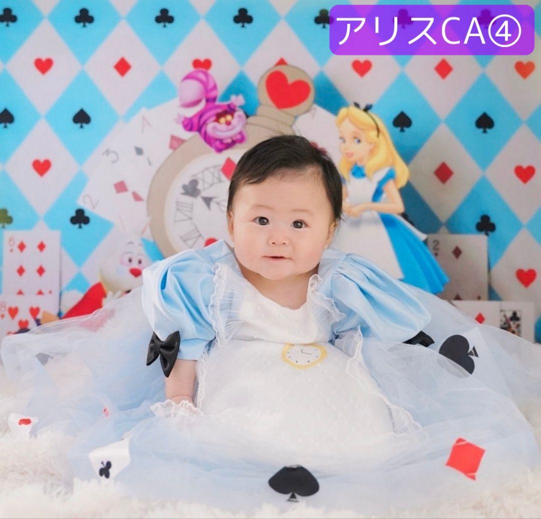 業務用トリミングチョーカー+背景布　ペット撮影用フォトブース　ハロウィン