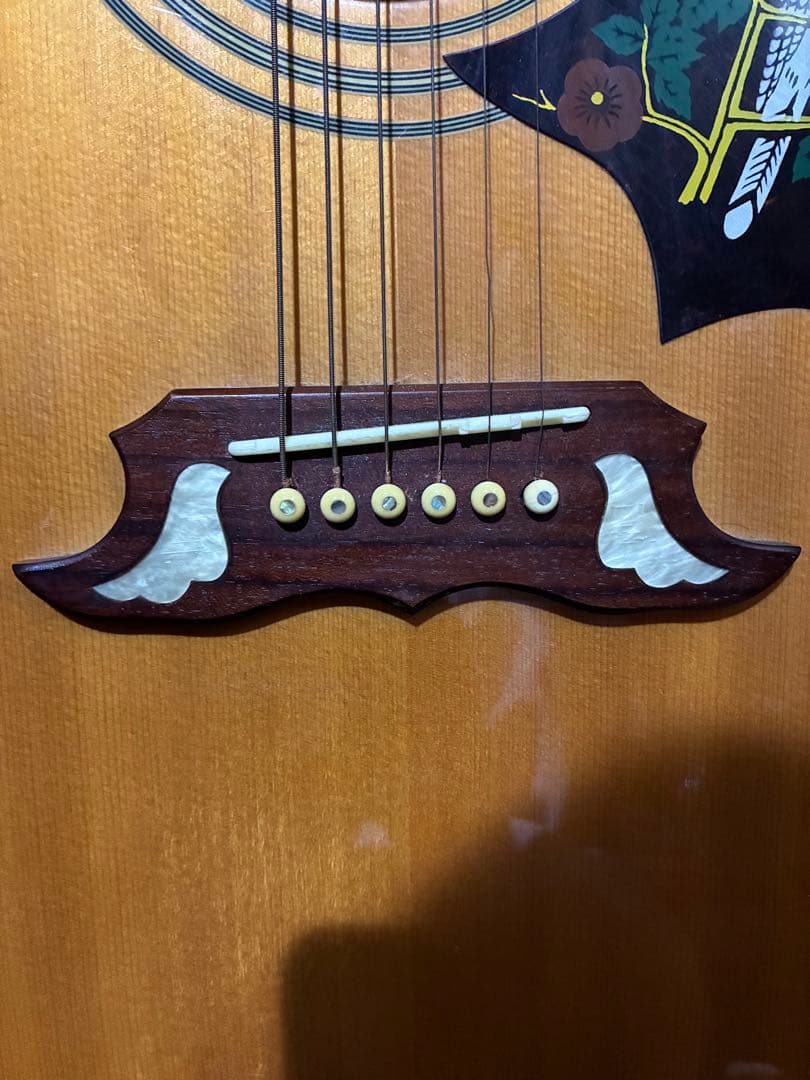 【プレゼント当選品】Epiphone DOVE NAアコースティックギター