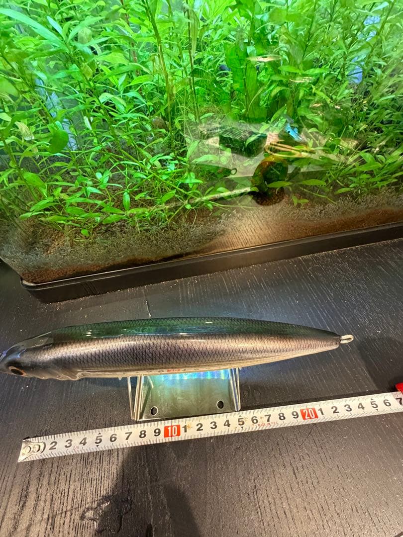 大型トップウォータープラグ 約26cm 未使用（裏面文字あり）