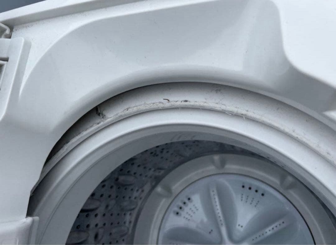 2019年式 5kg YAMADA 洗濯機 YWM-T50G1