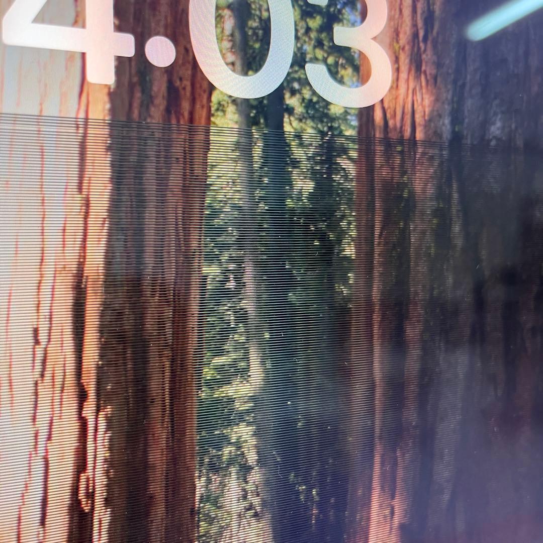 【ジャンク品】 Apple iMac M1 2021 16GB 2TB