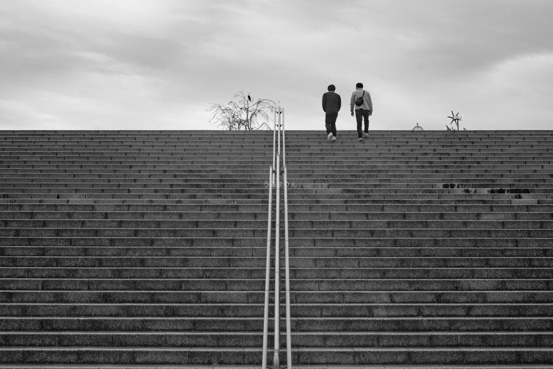 狂気の原点！Leica Xenon 50mm F1.5 オールドレンズ
