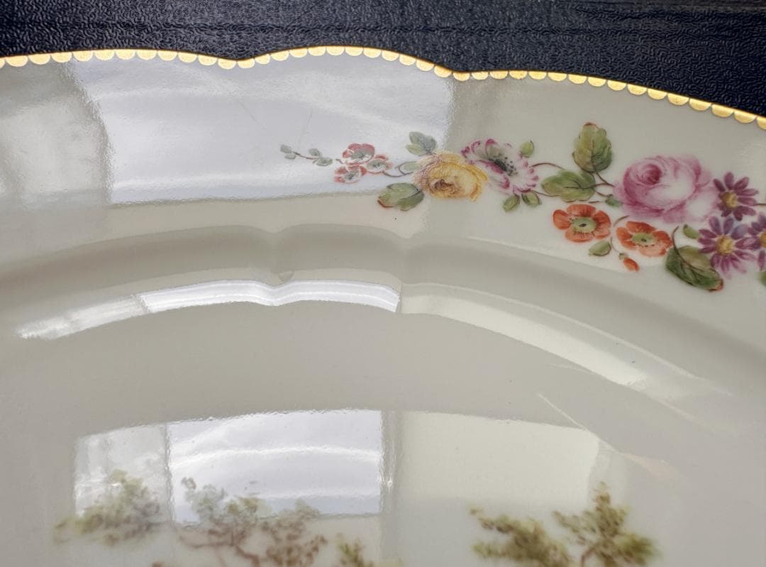 セーブル sevres 鳥文様皿C