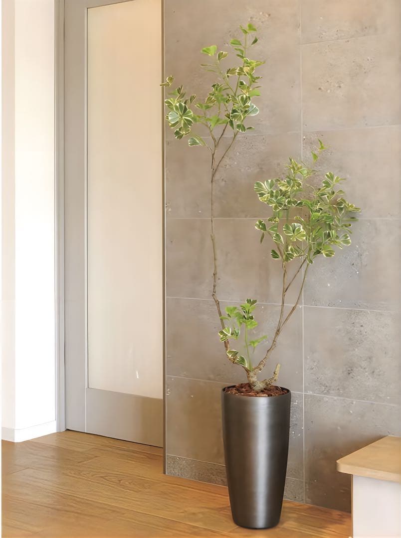 光触媒　人工観葉植物　フェイクグリーン　スリムフィカストライアングル