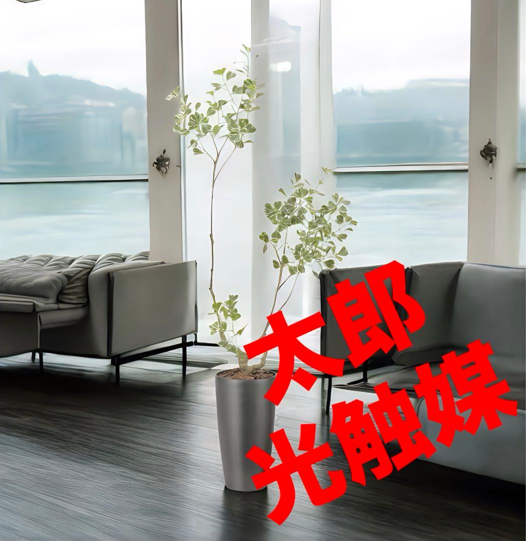 光触媒　人工観葉植物　フェイクグリーン　スリムフィカストライアングル