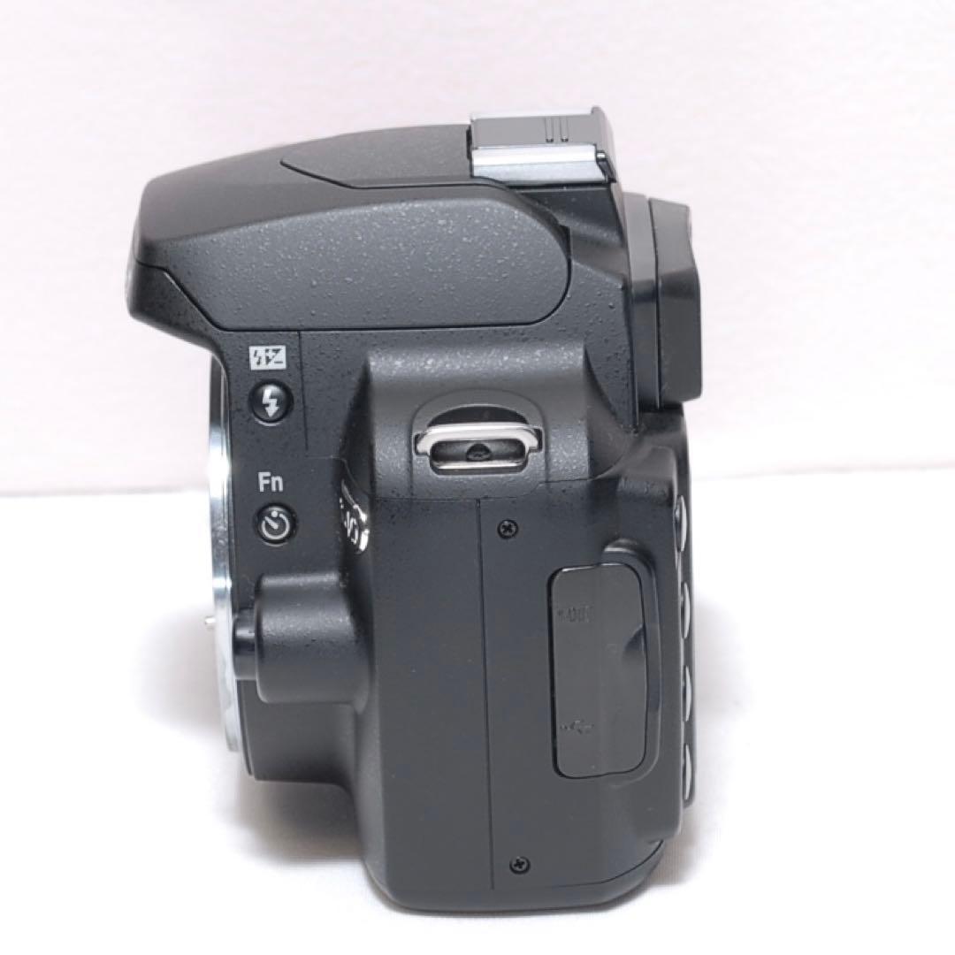 美品✨届いたらすぐに使えます✨Nikon D40✨シングルレンズ✨少シャッター数