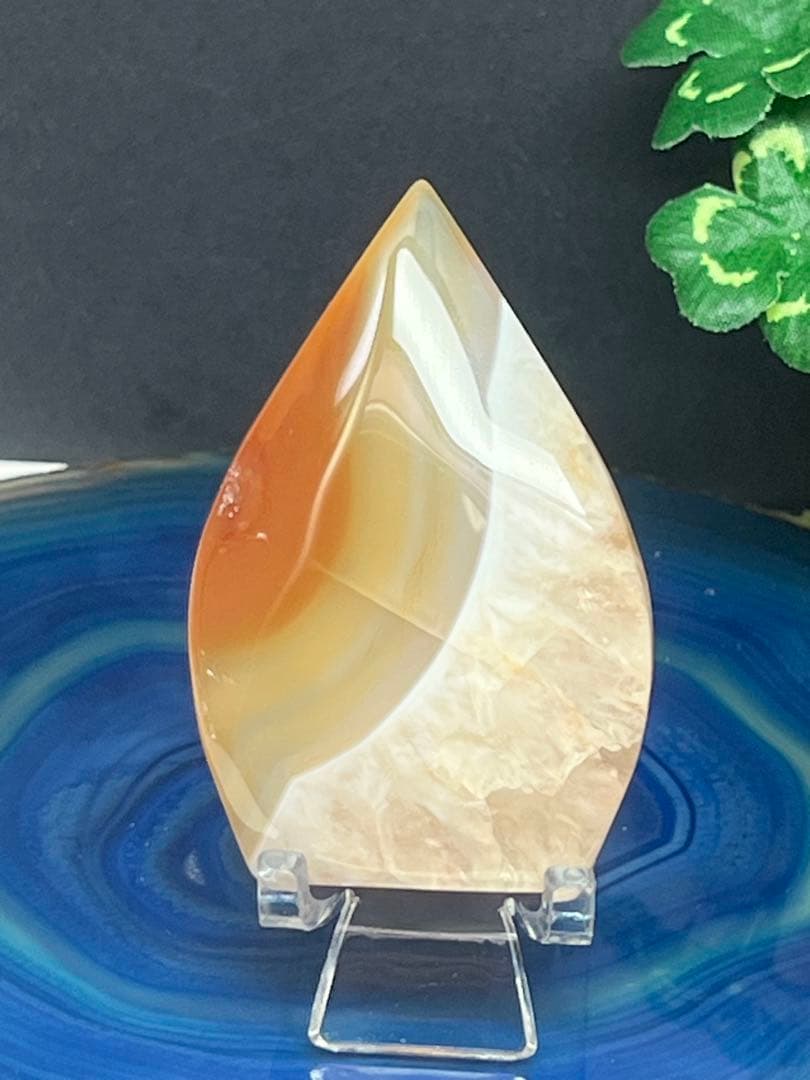 うさぎ、様ページ