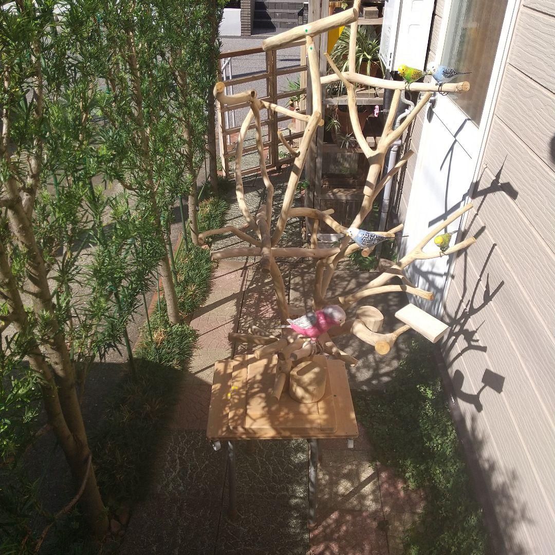 インコバードアスレチック楽園シリーズ③キャスター付きその❷完成品