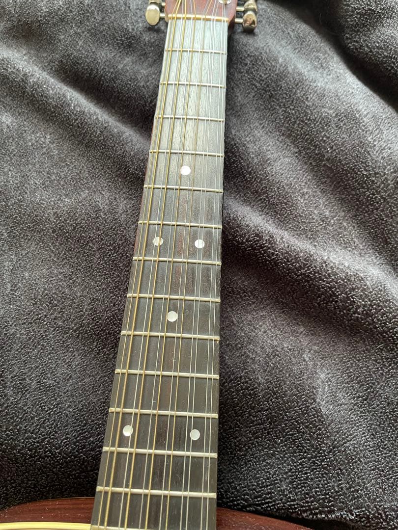 専用商品TOKAI Cat's Eyes オール単板 12弦ギター ブルーケース