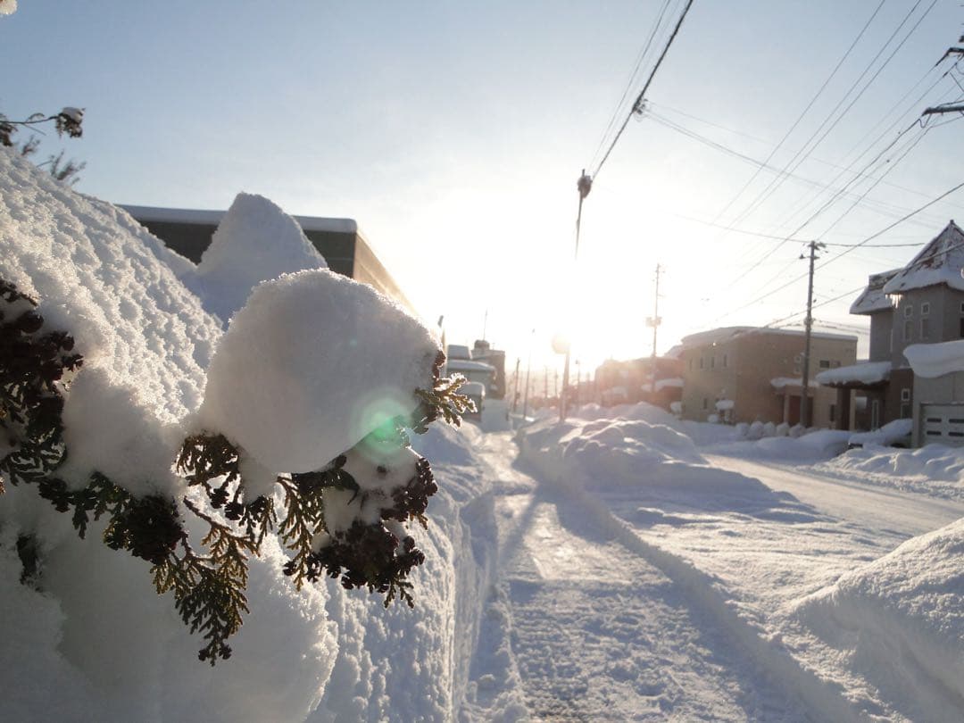 動作確認済 ネオ一眼Sony CyberShot DSC-HX1 付属品セット