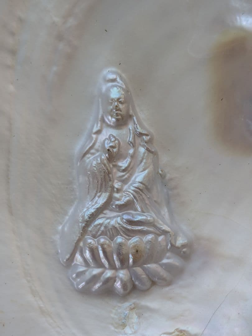 仏像真珠／淡水パール母貝 観音レリーフ no.101