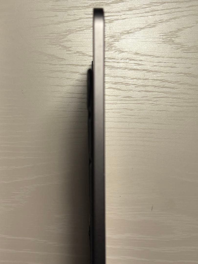 iPad Pro11 第2世代 128GB ApplePencil2 ケース付