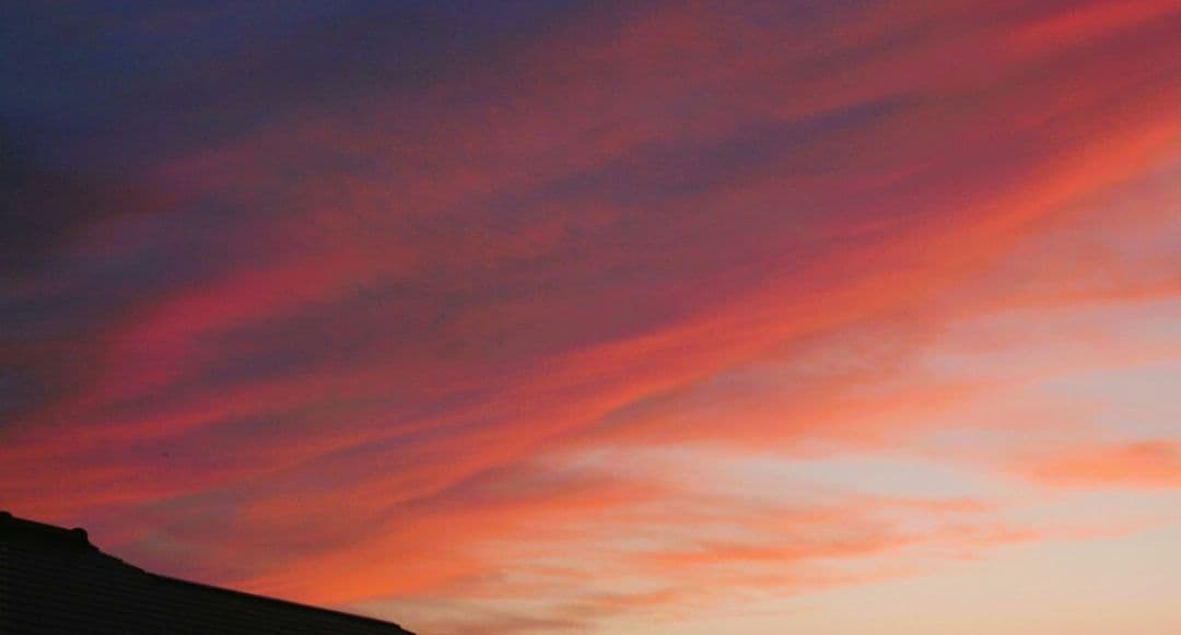 らんみみ様　NIKON　D70⚡️レンズ1本で広角から超望遠まで⚡️ニコン　一眼