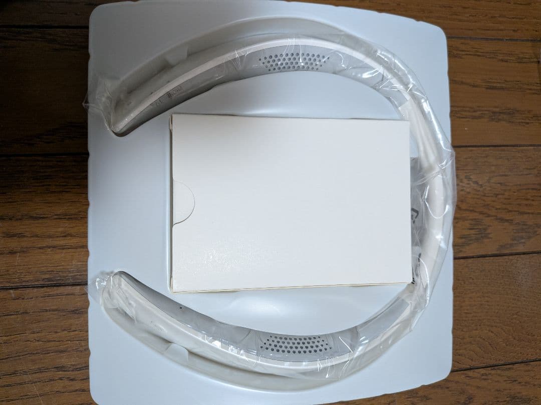 Panasonic SC-WN10-W ネックスピーカー（ホワイト）