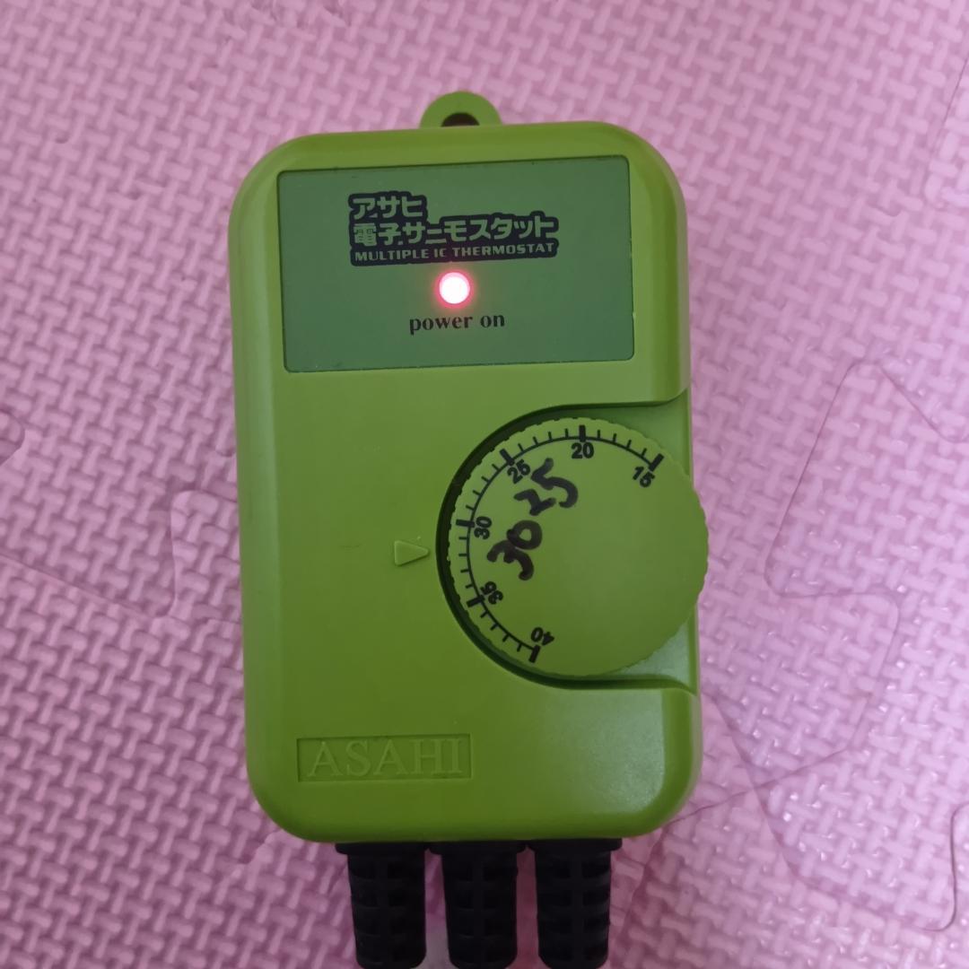 エキゾテラ　グラステラリウム3030　GEX