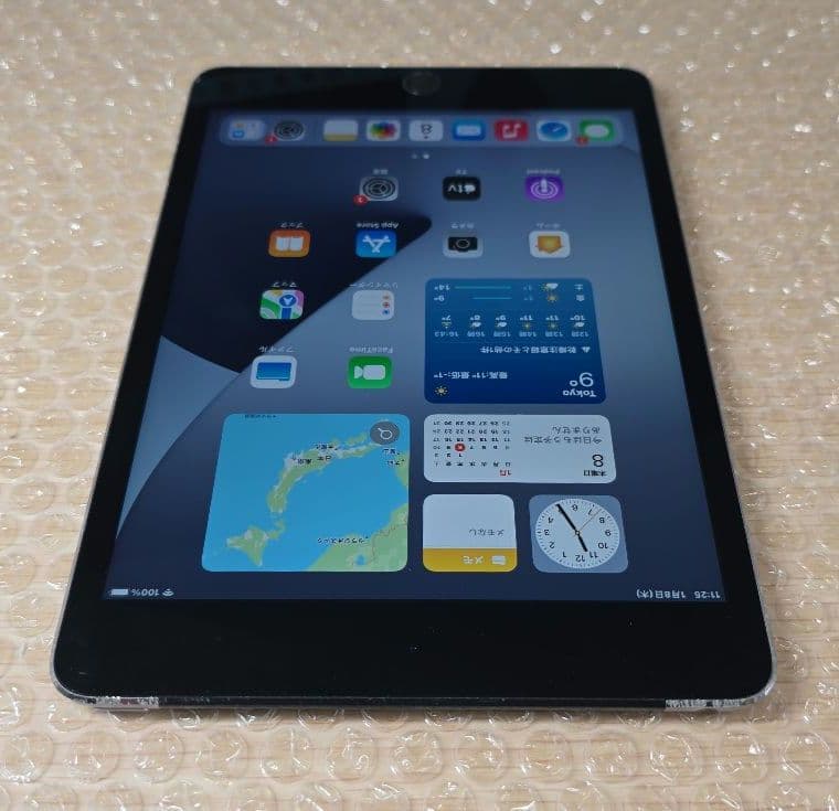 ア*ロ様 iPad mini 4◼️128GB◼️セルラー版◼️バッテリー良品◼