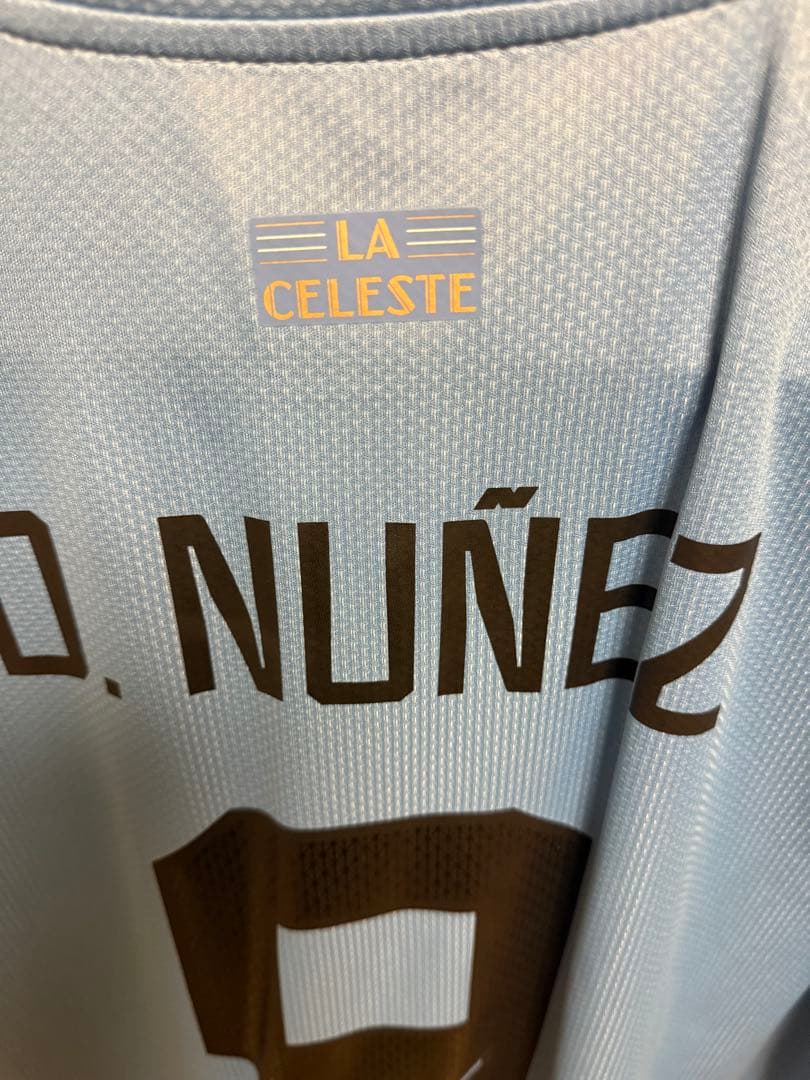 ダルウィン・ヌニェス 9番 ウルグアイ代表