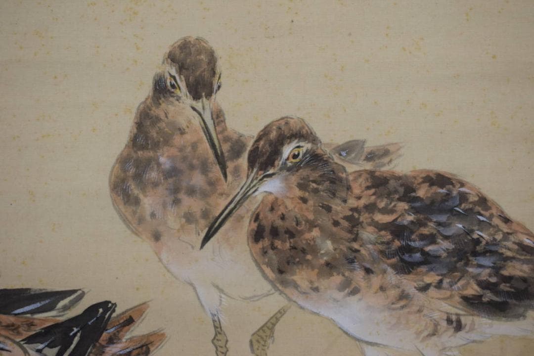 紫峰/荻田/秋草水禽図/クイナ図/掛軸/名家伝来/Z-506