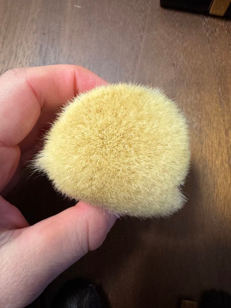 白鳳堂　黒檀携帯ミニセットときのこブラシ　(7本+ケース付)極小!