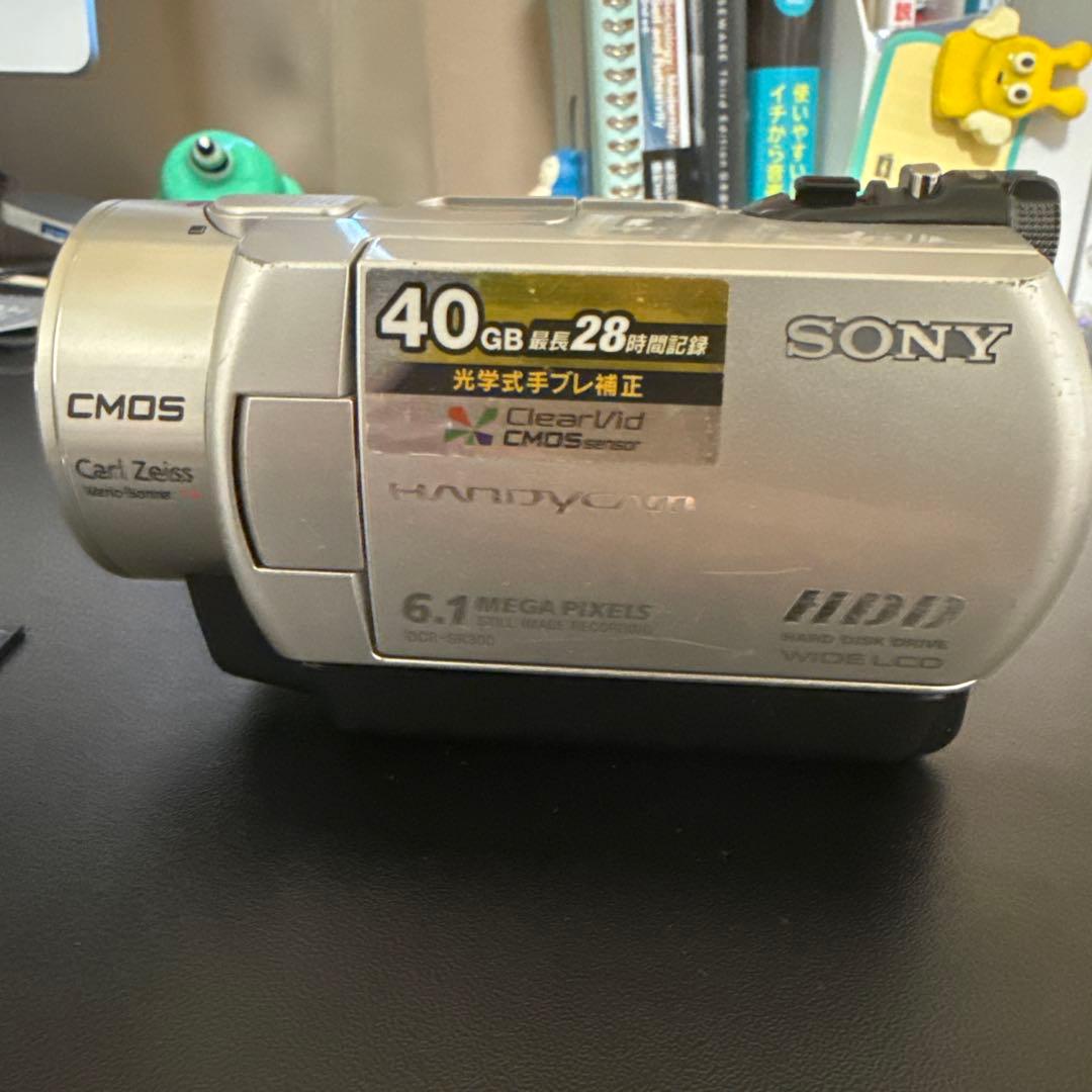 SONY Handycam デジタルビデオカメラ(40GB) DCR-SR300