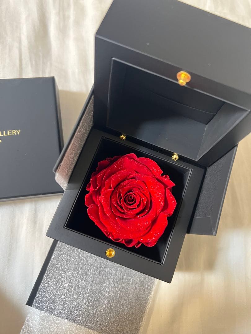ROSE GALLERY プリザーブドローズ 赤 M