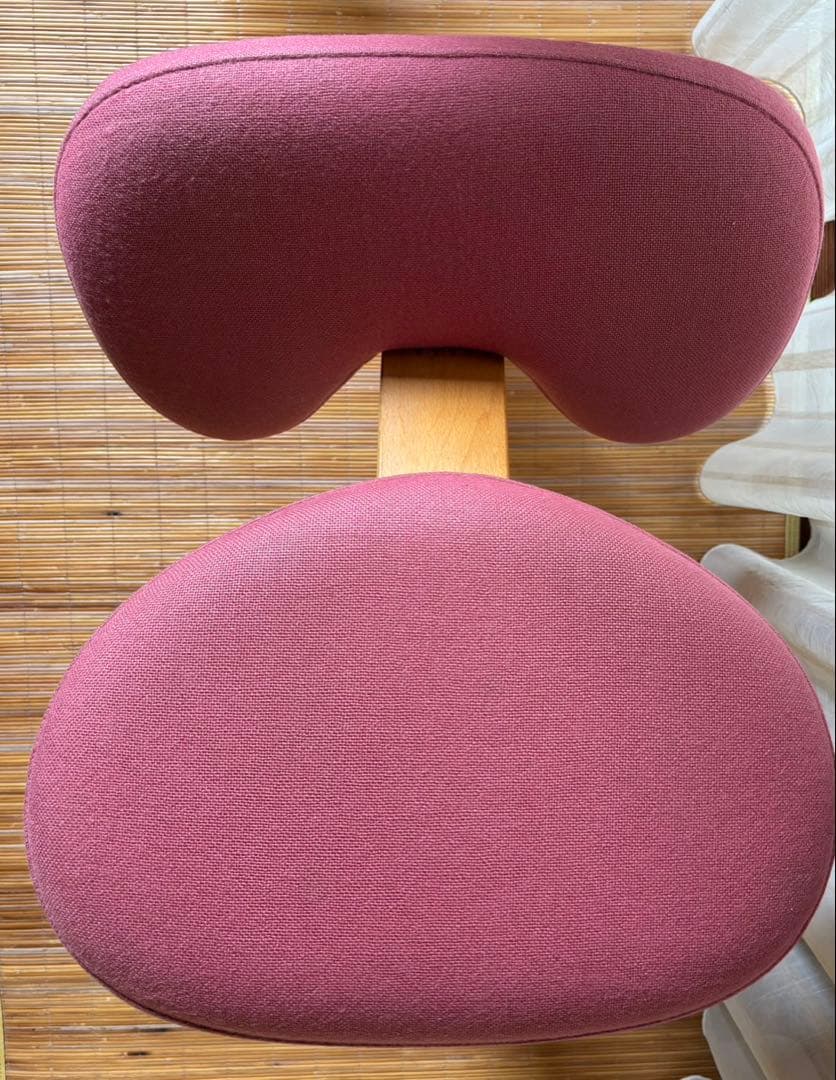 Rybo Balans EASY カバー付き